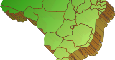 Mapa do Brasil em 3D com as divisões por estados.